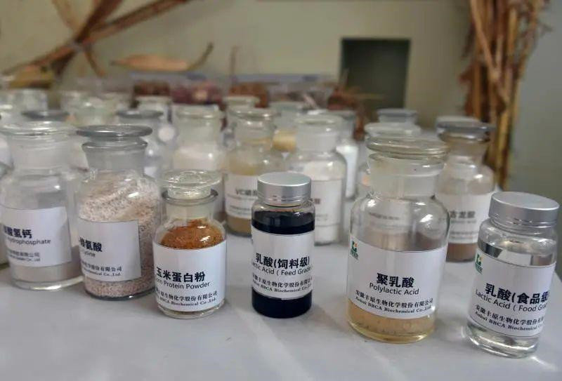 蚌埠企业签约冬奥会 生物基材料技术助力打造“无塑”奥运
