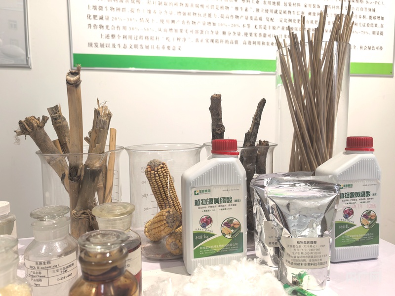 “小材”何以“大用”？——生物基材料技术研发的破局之路