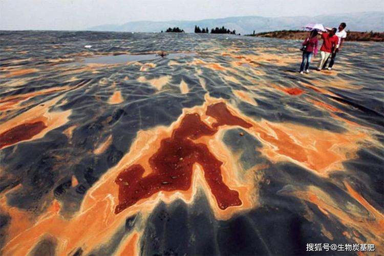 生物炭基肥助力国家重点研发计划 生物基材料技术研发新进展